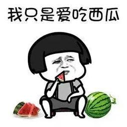 娱乐吃瓜君什么瓜,娱乐圈最新重磅瓜料大公开!